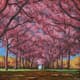 Painting-by-Numbers
