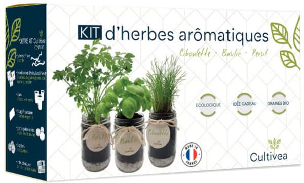Cultivea Kit de culture d'herbes aromatiques