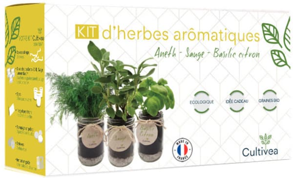 Cultivea Kit per la coltivazione di erbe aromatiche (salvia