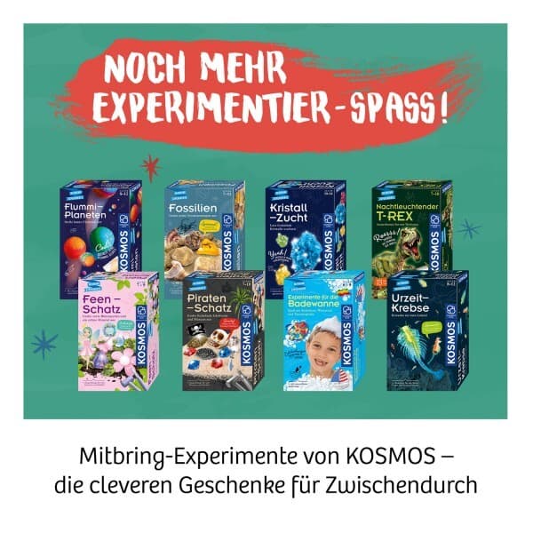 Kosmos Nachtleuchtender Flugsaurier (D / 7+) - Image 7