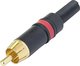 Cavo Rca