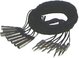 Multicore XLR-Jack