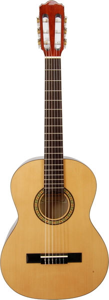 A1 3/4 Student Guitar