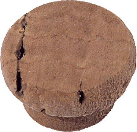 Water Key Cork (5/10,5/9)