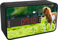 Bigben Alarm Clock Radio R16 - Horses (incl. 3 front panels)