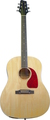 SA-35 DS-N (natural)