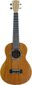 UK-30T