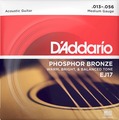EJ17 Phosphor Bronze, Medium