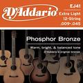 EJ41 12-String
