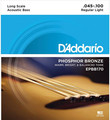EPBB170 Acoustic Bass (45-100)