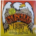 2153 Slinky Acoustic 12-String