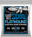 2815 Slinky Flatwound (40 - 95)
