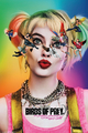Birds Of Prey One Sheet Maxi Poster (61x91.5cm)