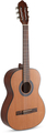 Student Cedar Classical Guitar (7/8)
