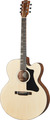 G-200 (natural)