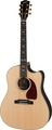 J-45 M Rosewood (antique natural)