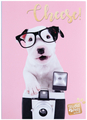 Grupo Erik Photo Album - Studio Pets Dog Charlie
