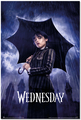 Grupo Erik Wednesday Umbrella Poster