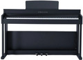 H202 (Black)