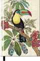 Kiub A5 Liniertes Hardcover Notizbuch Amys Toucan