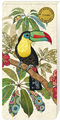 Kiub Magnetische Notizblöcke Toucan