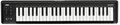 microKey 49 Mk II (49 Keys)