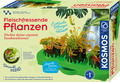 Fleischfressende Pflanzen (D / 8-11)