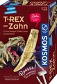 T-Rex - Zahn (D / 7+)