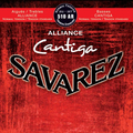 Cantiga 510AR (normal tension)