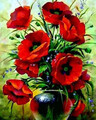 Tsvetnoy Poppies Bouquet (40x50 cm)