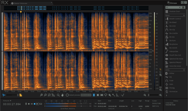 RX 6 Standard: The industry-standard for audio repair