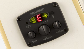 Fishman Preamp and Tuner