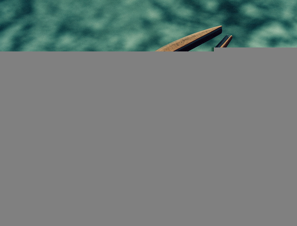 OPERAZIONE RAPIDA CON UNA SOLA MANO