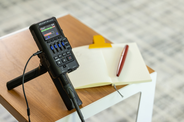 INTERFACCIA AUDIO FLOAT A 32 BIT