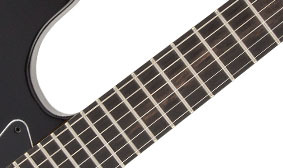 Ebony Fingerboard